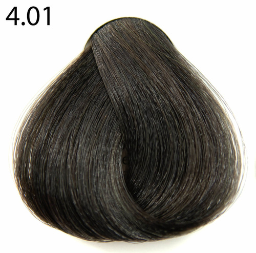 Profesjonalna farba do włosów RR Line 100 ml 4.01 naturalny brąz popielaty